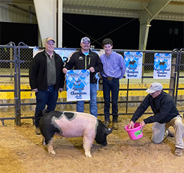 Warren Bros. Winners