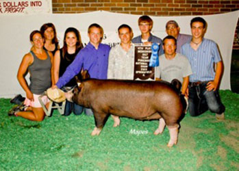 Winners